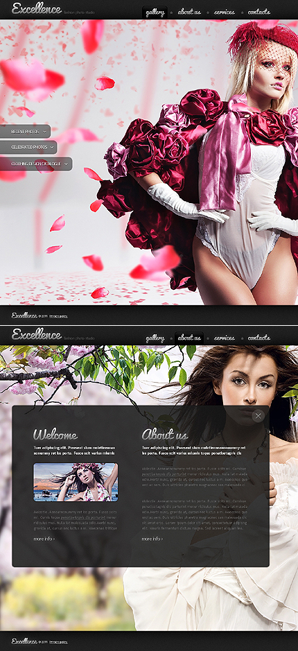 Premium CSS Templates