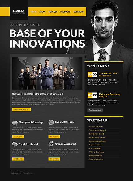 Premium CSS Templates