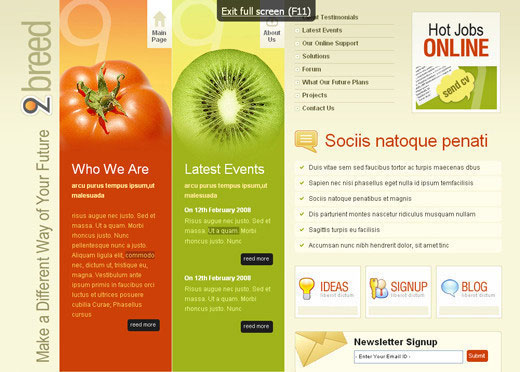 CSS Templates