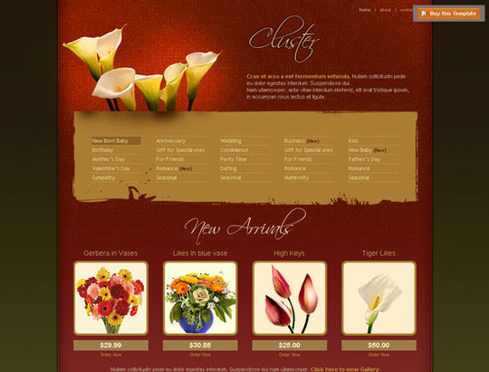 CSS Templates