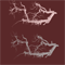 Material Image