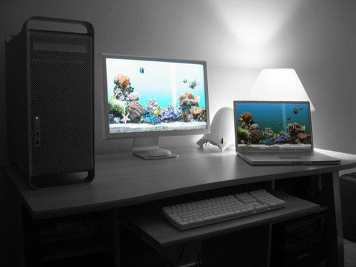 workstation