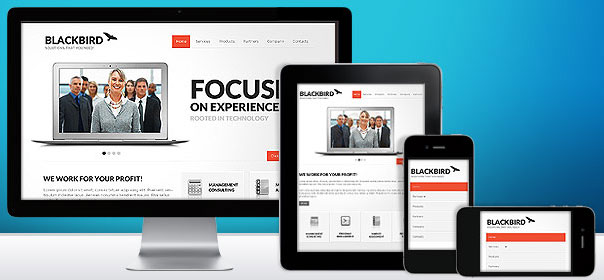 Responsive web template