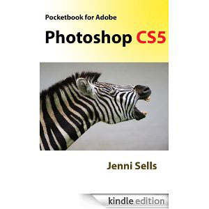 Web design books