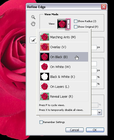 Velvet Roses Text Effect 11
