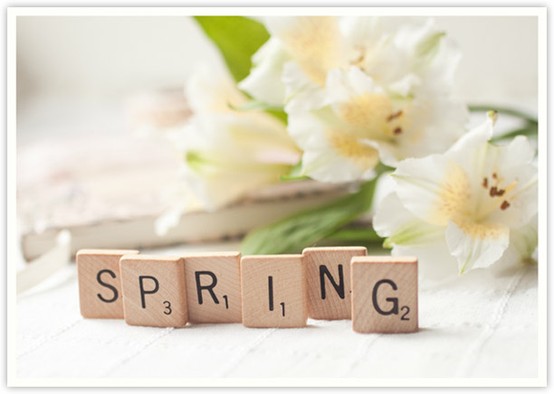 30+ Amazing Ideas for Spring Celebration 1