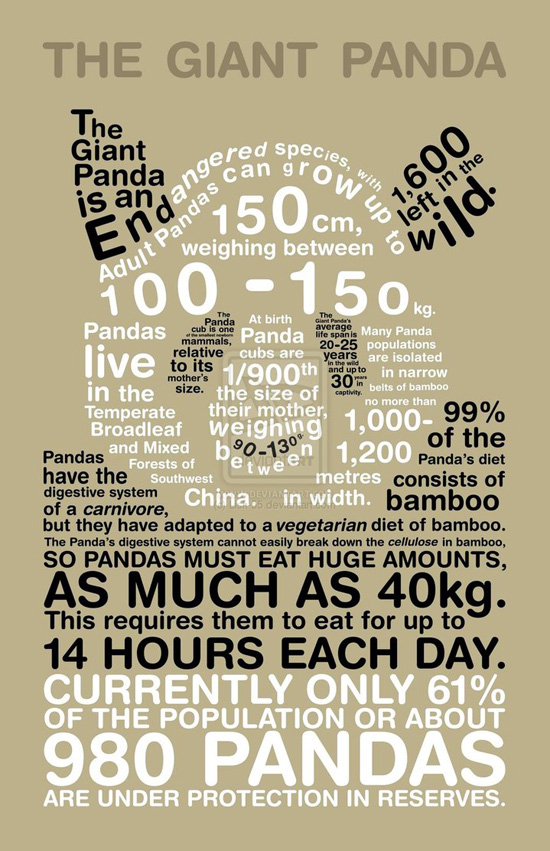 Giant-Panda typography infographics