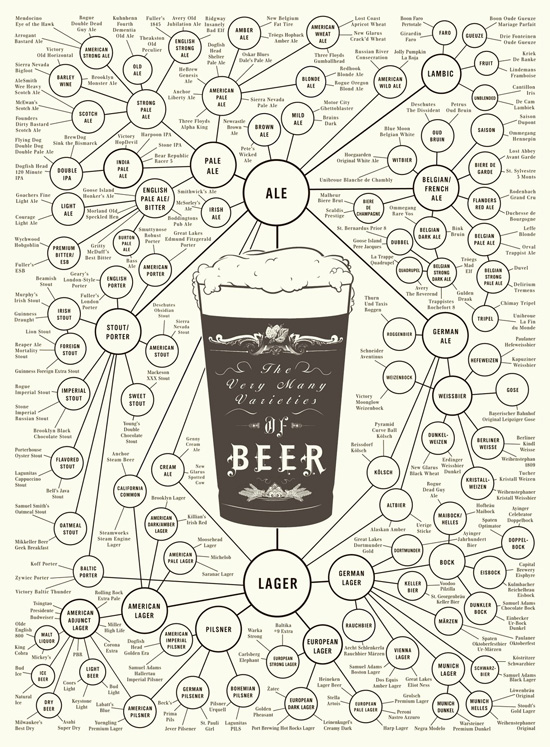 beer typography infographics