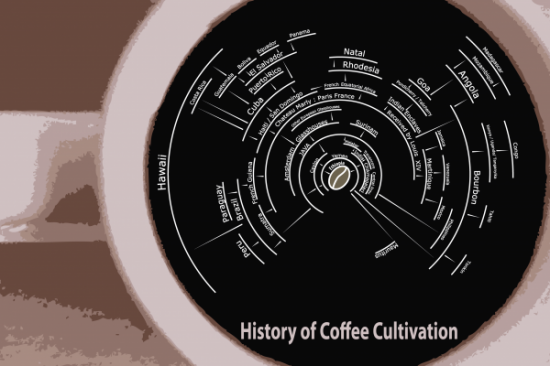 coffee infographic
