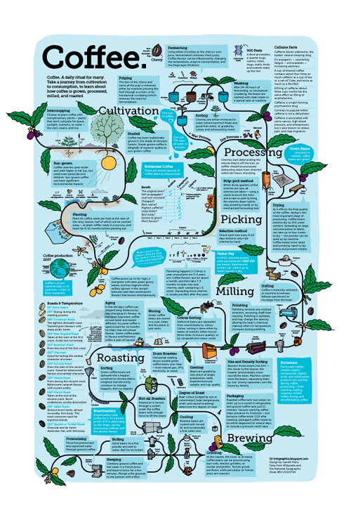 coffee infographic