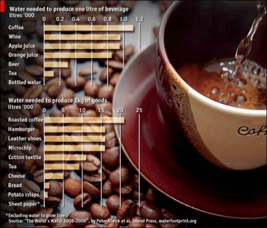 coffee infographic