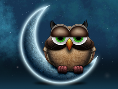 40+ Creative Owl Logo, Icon and Illustration Designs 30