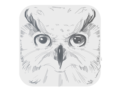 40+ Creative Owl Logo, Icon and Illustration Designs 33