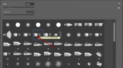 5 brush 500x278 Create a Surreal Burning Tree Scene with Falling Particle Effect in Photoshop
