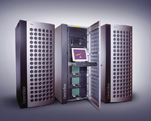 Windows or Linux Hosting - Which One Is Right For You?
