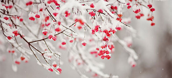 20 Facebook Covers That Will Make Your  Winter Stunning 4