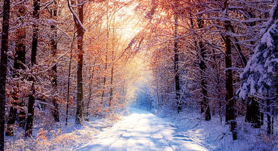 20 Facebook Covers That Will Make Your  Winter Stunning 14