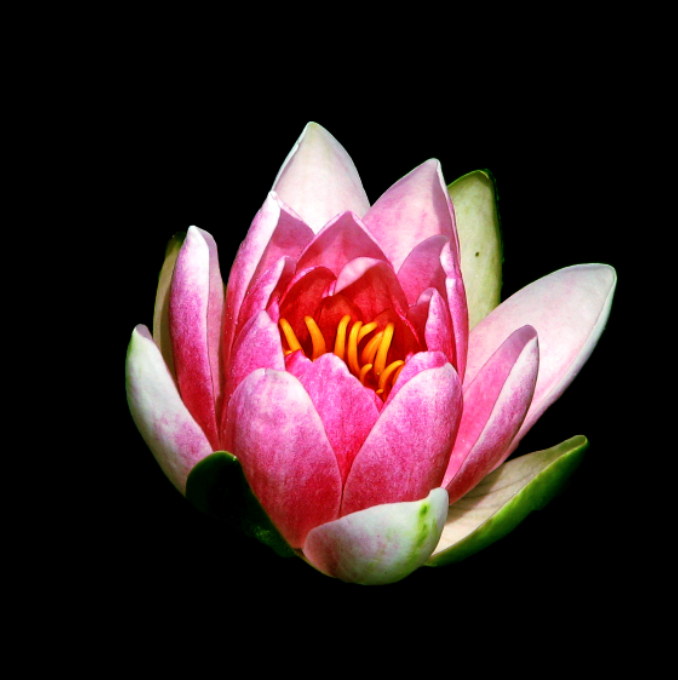 How to Create Stunning Reflections in Photoshop