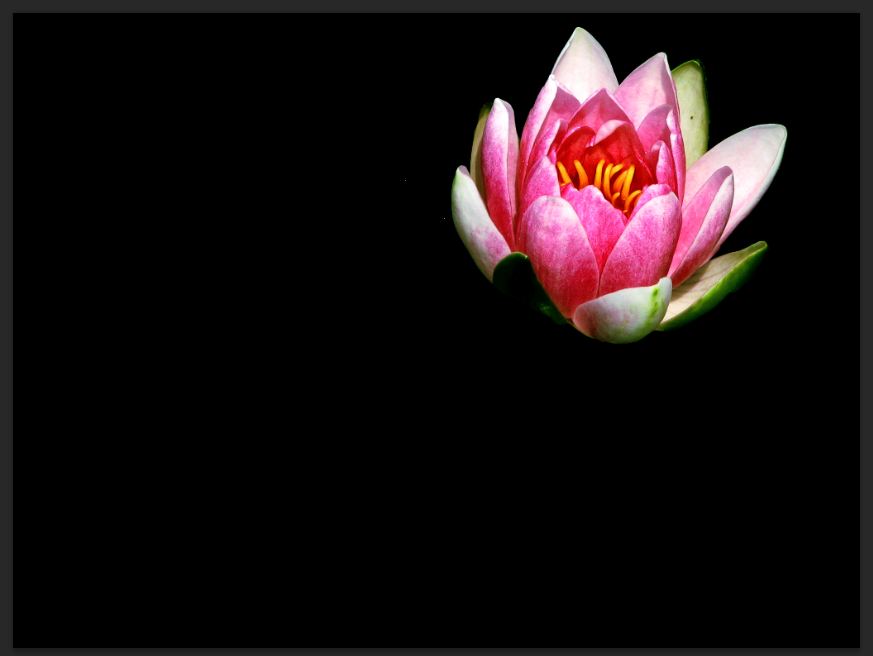 How to Create Stunning Reflections in Photoshop