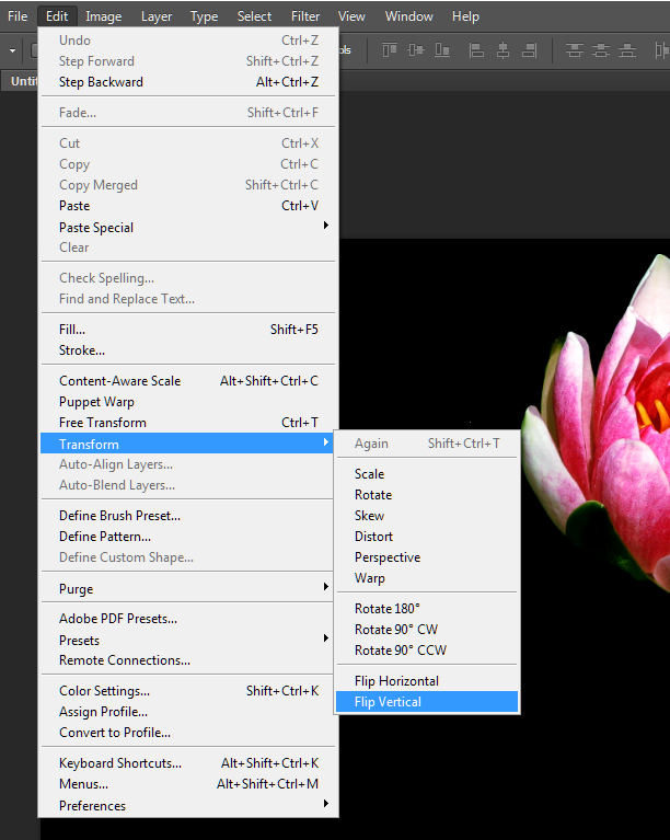 How to Create Stunning Reflections in Photoshop