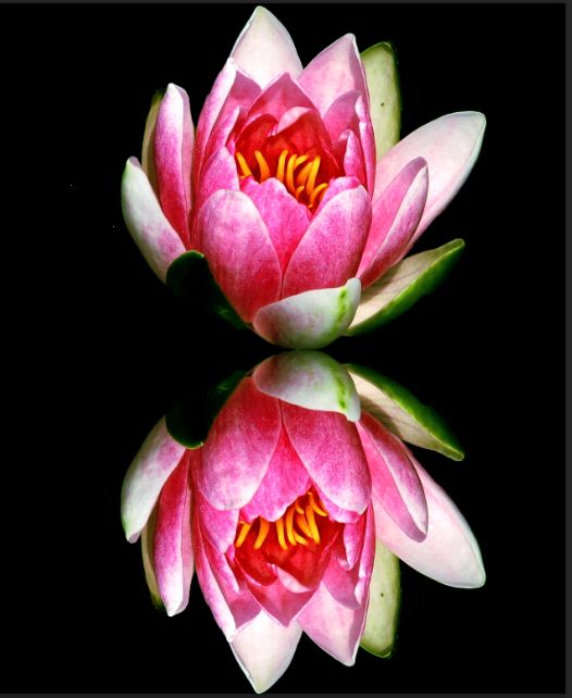 How to Create Stunning Reflections in Photoshop