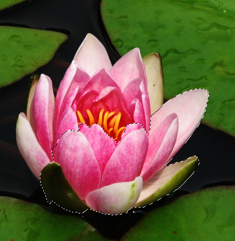 How to Create Stunning Reflections in Photoshop
