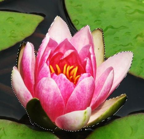 How to Create Stunning Reflections in Photoshop