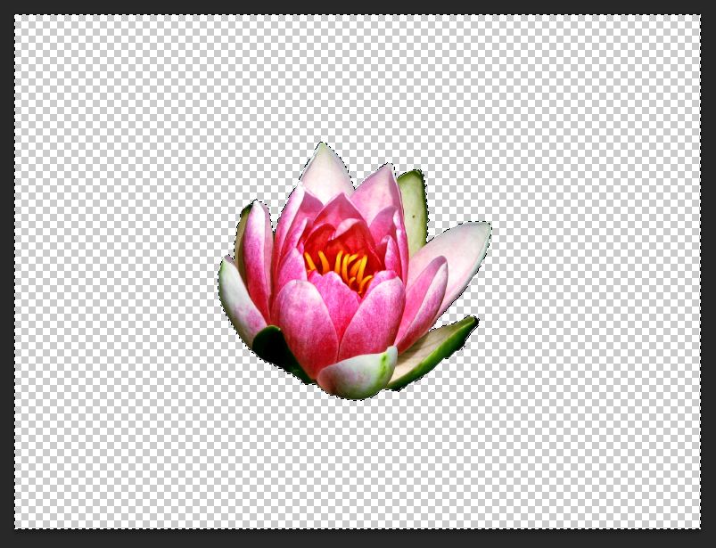 How to Create Stunning Reflections in Photoshop