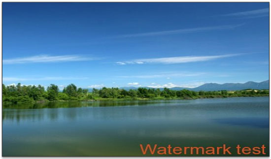 Watermark Plugins from WordPress