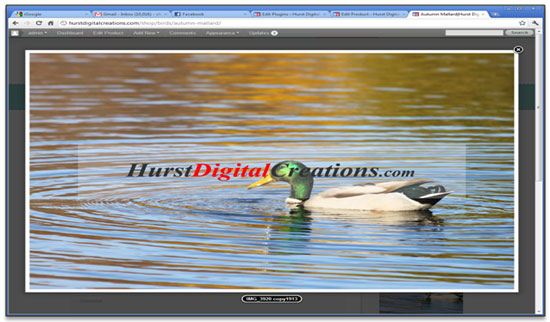 Watermark Plugins from WordPress