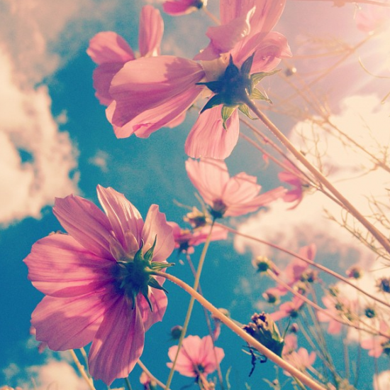 Instagram Filters: Everything You Should Know