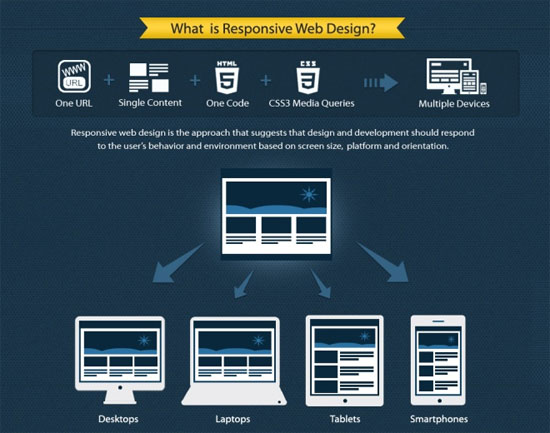 Responsive Web Design 101: Get to Know More About Responsive Web Design 1