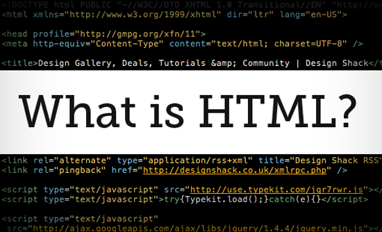 HTML for Beginners: Create Your First Website