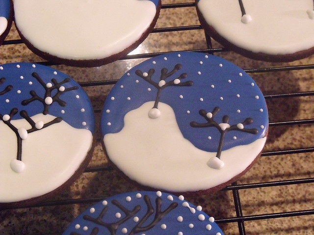 Winter Cookies for Your Inspiration 14