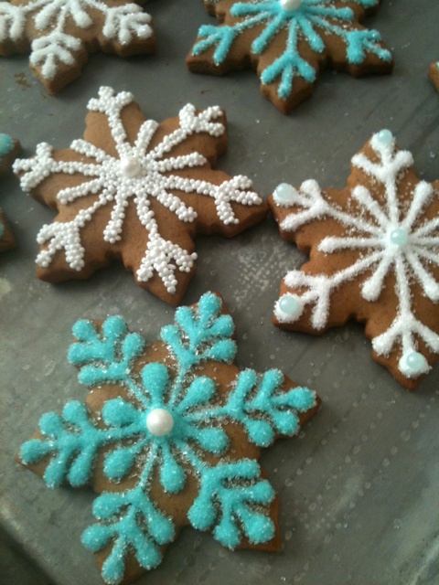 Winter Cookies for Your Inspiration 16