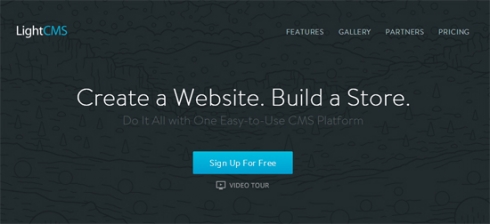LightCMS - the Best Solution for Business