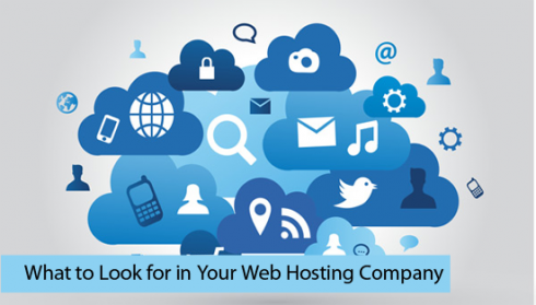 What to Look for in Your Web Hosting Company