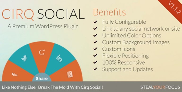 10 WordPress Social Media Plugins You Can't Live Without 8