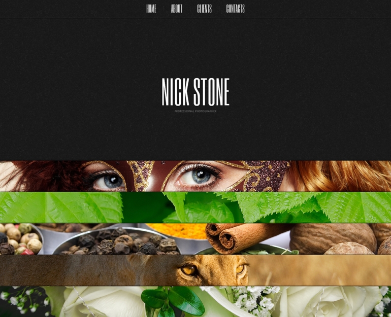 Become the Next Helmut Newton With a Photo Portfolio Website Template 16