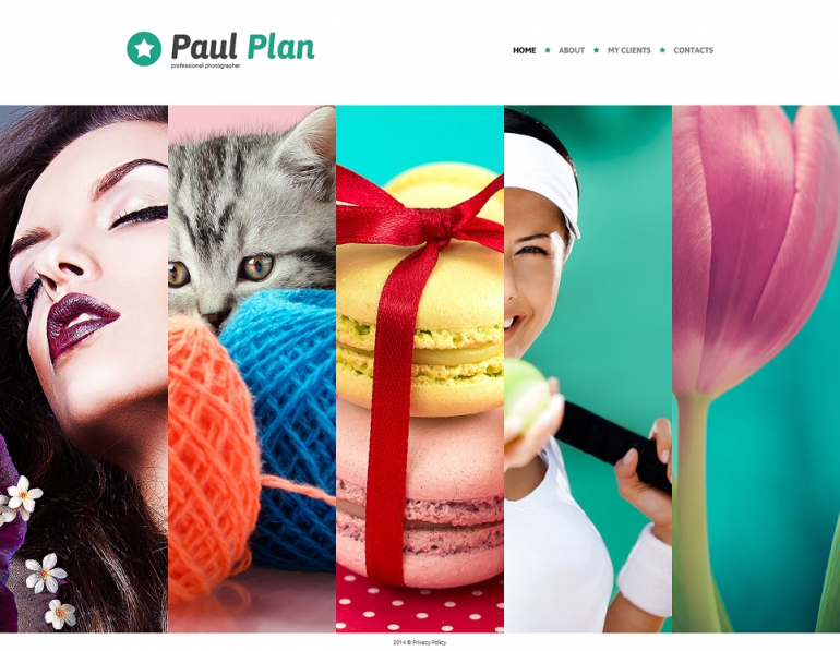 Become the Next Helmut Newton With a Photo Portfolio Website Template 20