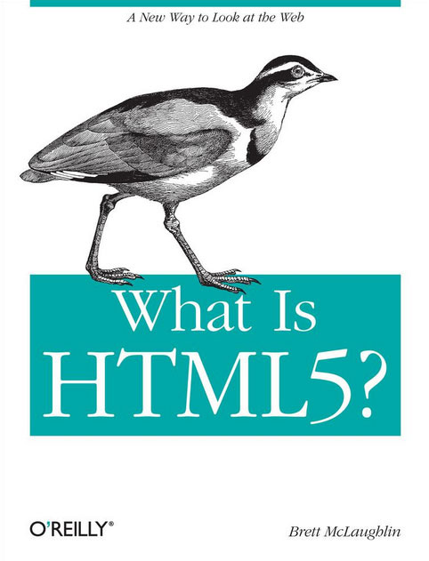 HTML5: Roundup of the Best Books from Amazon 2