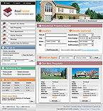 Website example