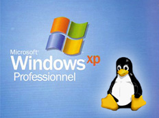 Image from Hosting Services: Windows Vs Linux : Hosting