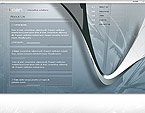 Website example
