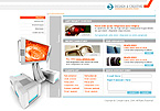 Website example