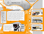 Website example