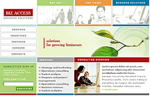 Image from Design Principles: Is It Wrong To Have A Goal-Oriented Home Page?