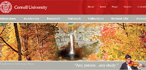 Image from Design Principles: Less Is More For University Websites