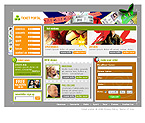 Website example