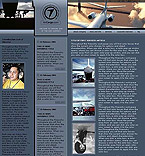 Website example